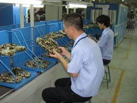 Inspection